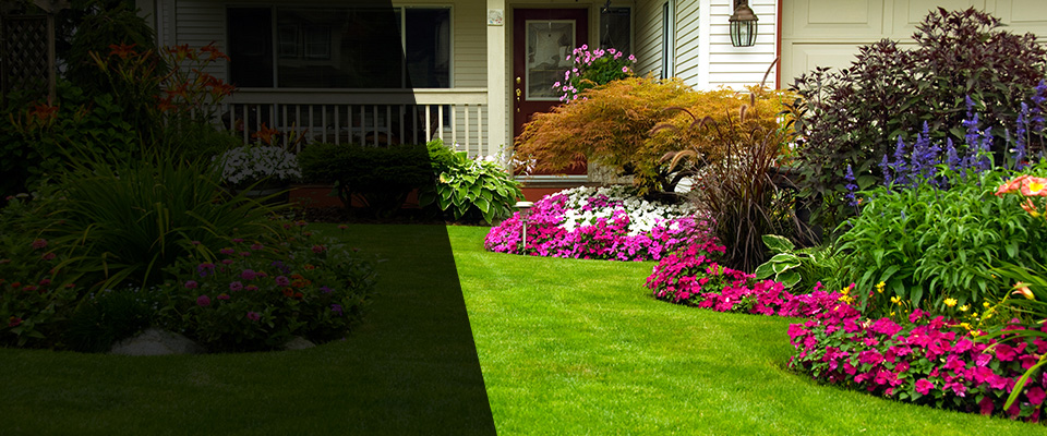 River Forest Landscapers