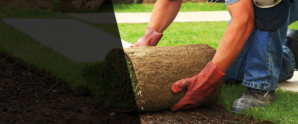 River Forest Landscapers